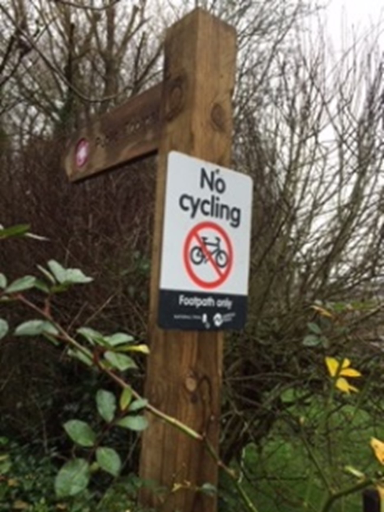 WeaversWay01