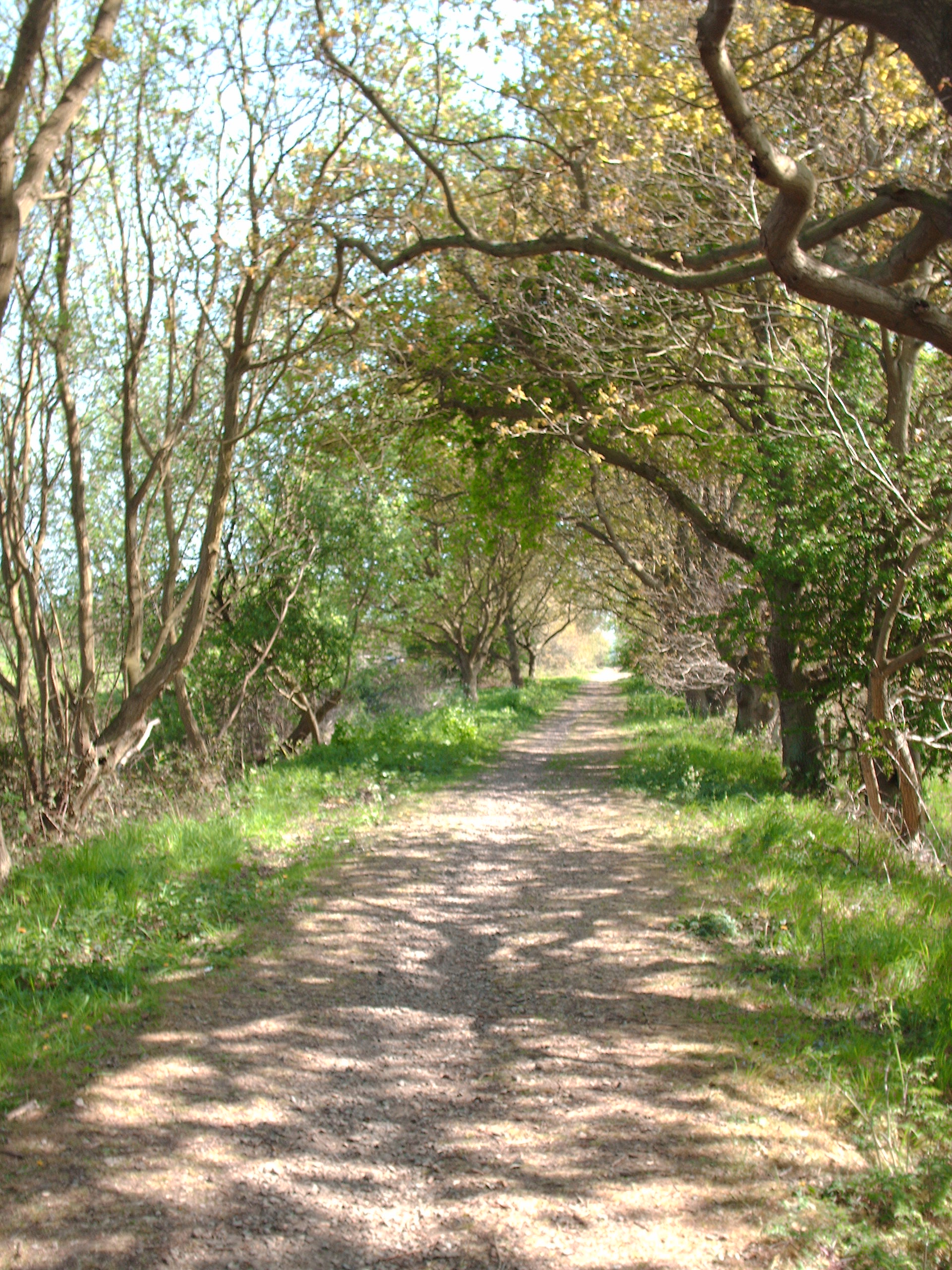 Weavers_Way Pic 01